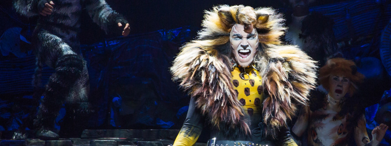 The 'Memory' Fades: Cats Revival Sets Broadway Closing ...